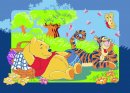 Disney Medved�k P�