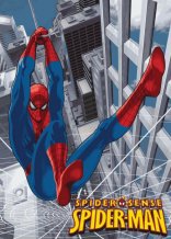 Spiderman Go Spidey SP13