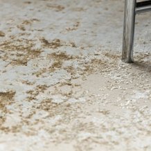 Kusový koberec Allure 1959 cream/beige