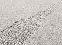 Kusový koberec Atole light grey