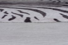 Kusový koberec Faux Animal Zebra Print Black/White