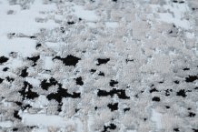 Kusový koberec Gloss 8493 78 Vintage grey/black