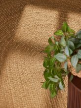 Kusový koberec Jute Braided 106005 Gold ovál