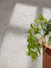 Kusový koberec Jute Braided 106321 White ovál