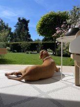 Kusový koberec Twin Supreme 103760 Corsica Grey/Cream – na ven i na doma