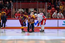 Rohože pro hokejovou halu DUKLA Jihlava