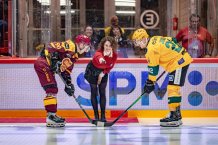 Rohože pro hokejovou halu DUKLA Jihlava