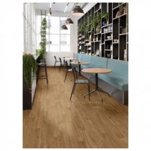 Tornado Summer Oak 664D