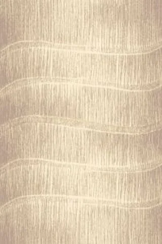 Kusový koberec Tytus beige
