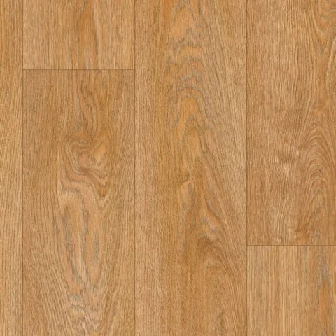 Rochester Allure 645